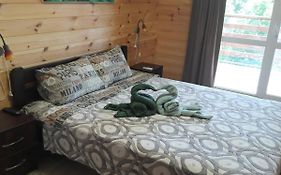 Коттедж у берега моря бо Сокол